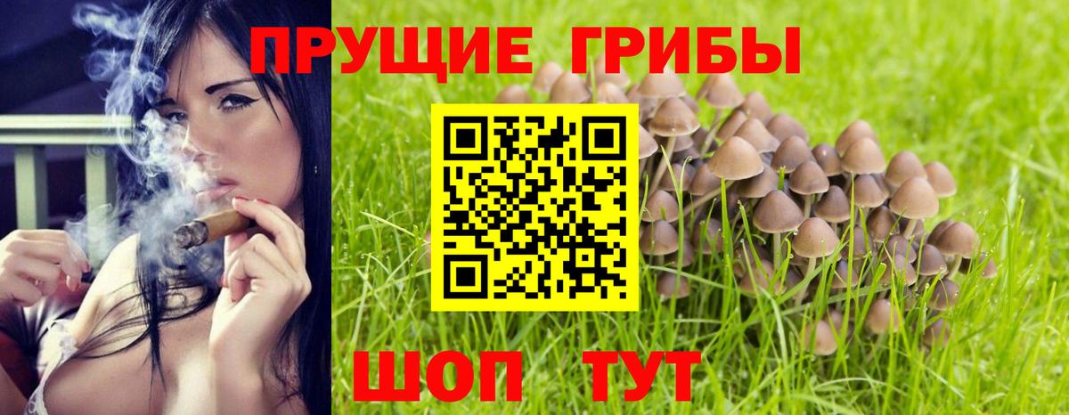 Галлюциногенные грибы прущие грибы Мичуринск