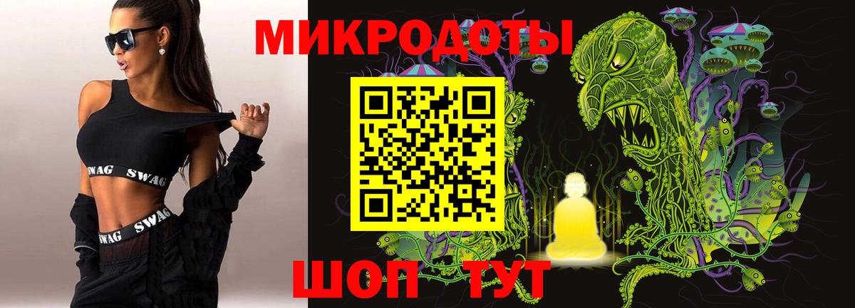 Мичуринск  купить  сайты  Вход с VPN  Галлюциногенные грибы прущие грибы 